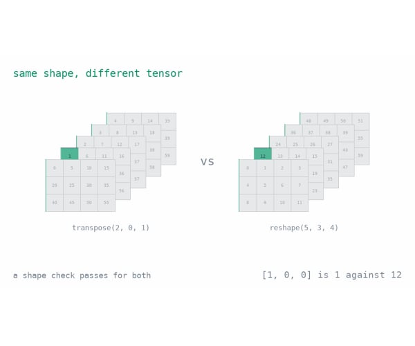 04 · Reshape and Transpose Real Images